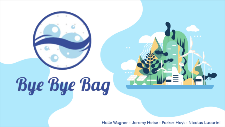 Bye Bye Bag